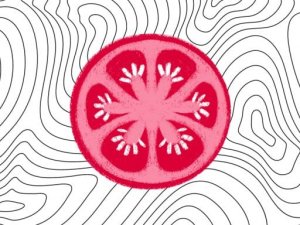 SliceItUp Puzzle Game