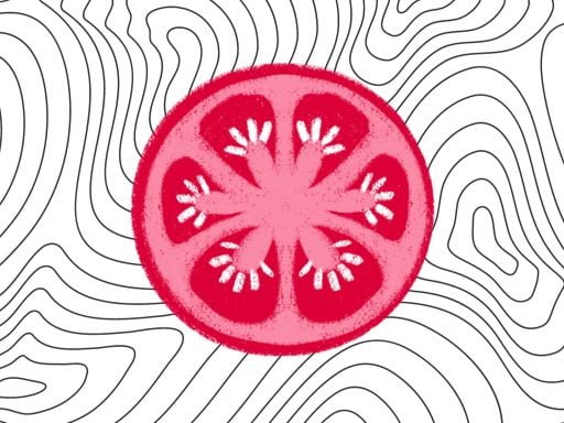 SliceItUp Puzzle Game