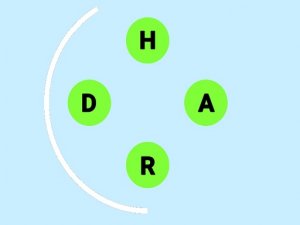 Guess Words Fast Online Game