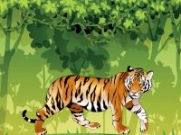 Angry Tiger Coloring Online Coloring Game
