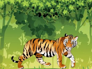 Angry Tiger Coloring Online Game