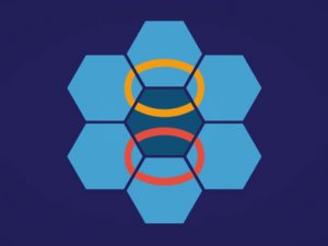 Hexa Stapler Puzzle Game