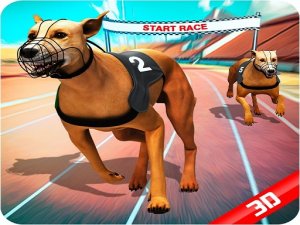 Pet Racing Arcade Game