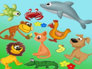 Find Animal - Animal Touch Online Game