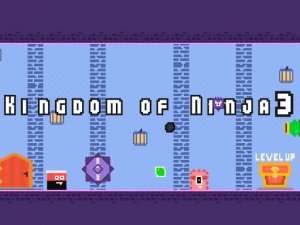Kingdom of Ninja 3 Online Game