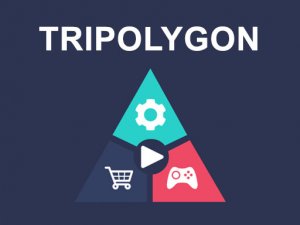 Tripolygon Color Puzzle Game