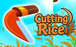 Bento Block Fit Challenge