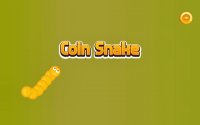 Golden Serpent Coin Puzzle